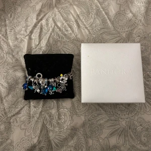 Pandora berlocker  - Säljer mina Pandora berlocker, är du intresserad av att köpa enskilda berlocker så kontakta mig, styckvis säljs dom för 100kr💕