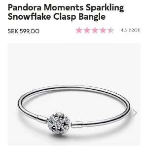 Pandora armband - Äkta padora armband använd 1 gång, nypris 599kr säljs pga att den inte kommer till användning. (19cm) 