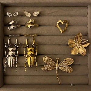 Ringar Trollslända & Skalbagge - 🤍