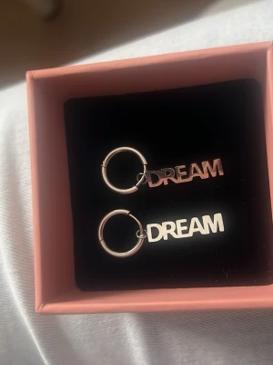 silvriga dream örhängen från edblad - Säljer ett par snygga dream örhängen ifrån edblad i silver. Har inte används jättemycket då jag egentligen är guld tjej ❤️