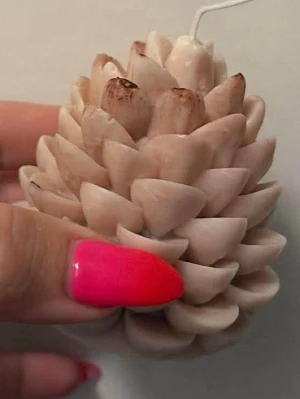 Ljus i form av kotte - Unikt ljus format som en kotte i beige färg med bruna toppar. Ljusets detaljerade design gör det till en snygg inredningsdetalj. Kommer i en stilren förpackning med fönster. Perfekt för att skapa mysig stämning hemma.