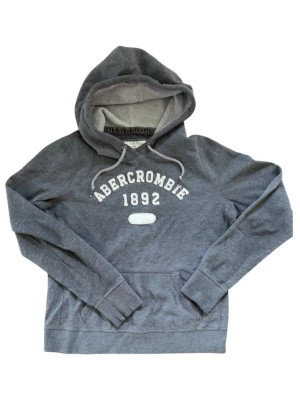 Abercrombie hoodie L - Säljer en riktigt fin grå hoodie, storlek L.  Nypris ca 1200kr  Jätte fint skick o allt!!