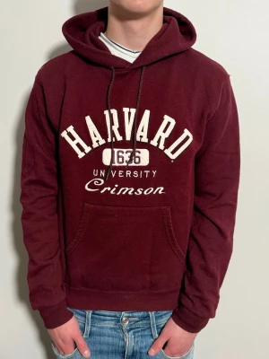 Vinröd vintage hoodie. - En fet vinröd vintage hoodie! Märke:champion. Passar perfekt nu till våren!! Skick 9/10 ! Size S. 