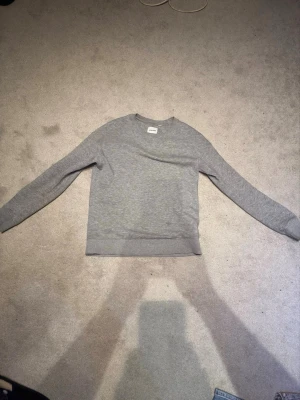 Grå basic sweatshirt - En enkel och stilren grå sweatshirt med rund hals och långa ärmar. Det står ingen storlek men den passar S/M