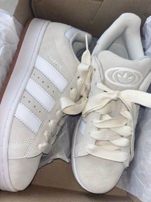 Camus 00s beige  - I toppen skick andvänt 2 gånger skolåda och extra skosnören kommer med 💕