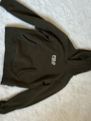 Olivgrön hoodie från Polo Ralph Lauren - Snygg olivgrön hoodie från Polo Ralph Lauren med broderad logga på bröstet. Klassisk känguruficka framtill och huva. Perfekt för en avslappnad och trendig stil. Mjuk bomullskänsla och stilren design.