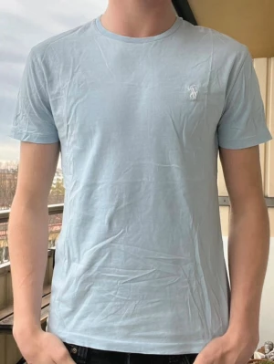 Ralph Lauren T-shirt - Ljusblå T-shirt från Ralph Lauren i väldigt bra skick Storlek S nypris~1000kr