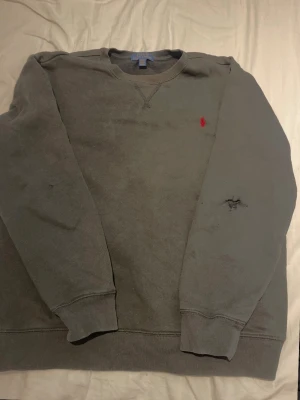 Grå sweatshirt från Polo Ralph Lauren - Klassisk grå sweatshirt från Polo Ralph Lauren med rund halsringning och röd broderad logga på bröstet. Tröjan har ribbade muddar vid ärmslut och nederkant. Perfekt för en avslappnad och stilren look.