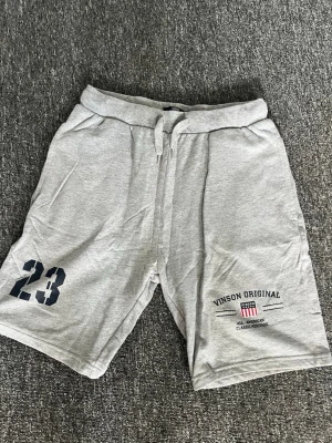 Grå shorts från Vinson Original - Grå mjuka shorts från Vinson Original med snörning i midjan och tryckta detaljer, bland annat siffran 23 och logga på ena benet. Perfekta för en avslappnad stil och sköna att bära under varma dagar.