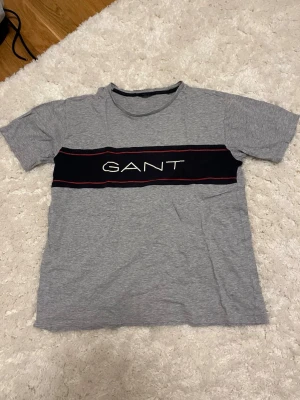 Grå GANT t-shirt med logga - Snygg grå t-shirt från GANT med korta ärmar och rund hals. På bröstet finns en bred marinblå panel med vit GANT-logga och röda linjer. Tillverkad i mjuk bomull för skön känsla. Perfekt till jeans eller shorts.