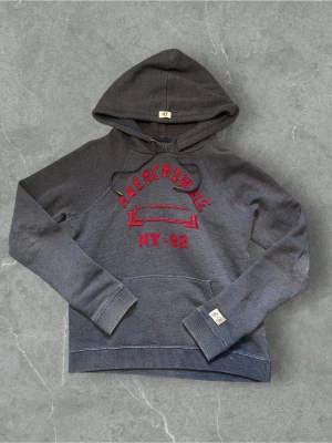  Hoodie från Abercrombie - Plain hoodie på baksidan och inga defekter!