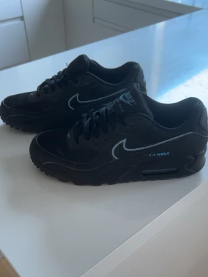 Svarta Nike Air Max sneakers - svart nike air max kommer med sko låda