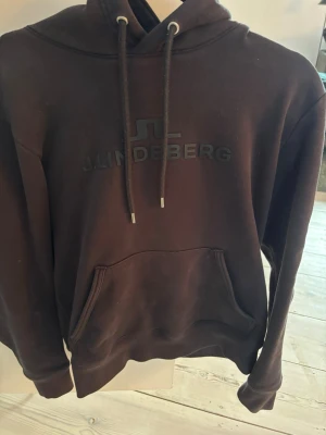 Svart hoodie från J.Lindeberg - Säljer en svart hoodie från J.Lindeberg. Storlek S. Hör av er vid frågor!