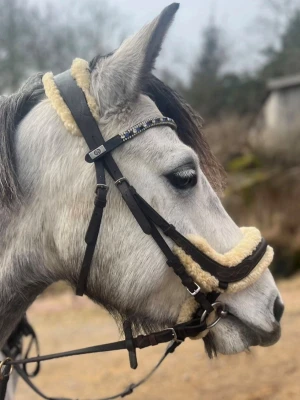 träns - Säljer ett  träns till häst med mjukt beige fårskinn vid nosgrimma och nackstycke Tränset har justerbara remmar och metallspännen. Perfekt för dig som vill ha både stil och komfort till din häst.
