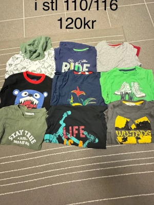 Färgglada t-shirts i storlek 110/116 - Säljer ett paket med nio långarmiga t-shirts i storlek 110/116. Flera olika färger och tryck, bland annat grönt, blått, svart och grått. Några har coola motiv som dinosaurier, sneakers och Wu-Tang-logga. Perfekta för dig som gillar lekfull stil!