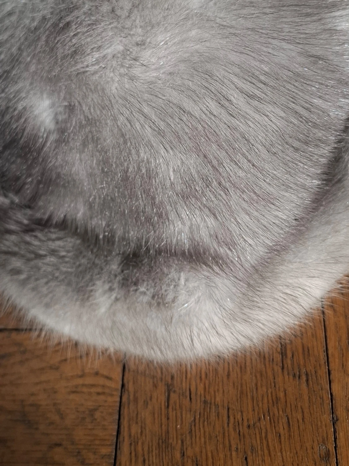 Grå fluffig hatt  - 4