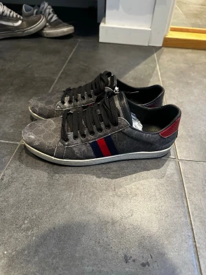 Gucci ace - Gucci ace (storlek står ej men passar 42/43) skicket syns på bilder och alla defekter är med. Ingen box eller kvitto därav pris, först till kvarn!
