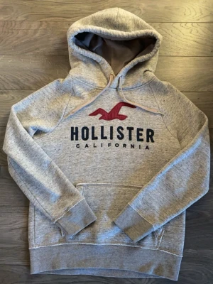 Hollister hoodie - En fet trendig hoodie från hollister, storlek xs men funkar om man bär S också. Riktigt bra skick 