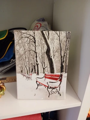Tavla med vintermotiv och röda bänkar - Säljer en rektangulär tavla med ett vintermotiv av snötäckta träd och röda parkbänkar. Tavlan har svart och vit färgskala med röda detaljer och kan ställas på bord eller hängas på väggen. Perfekt som dekoration i hemmet.