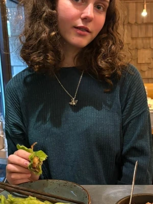 Grön tröja  - Pendlar mellan Alingsås - Skövde vardagligen. Med jämna mellanrum är jag även i Uppsala. Säg gärna till om ni vill mötas och slippa betala frakten och den extra kostnaden plick lägger till på priset. Ni swishar  isåfall :) 