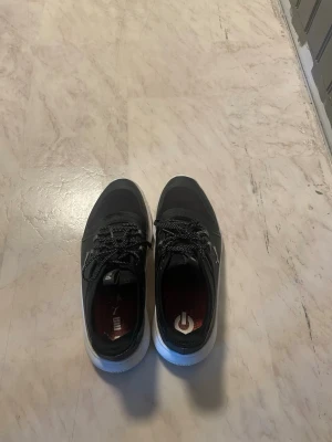 Svarta golf skor  - Snygga svarta golf skor från Puma. Storlek 40,5. Perfekt för dig som vill spela golf. Vid frågor är de bara att höra av dig. Och vid snabb affär kan priset diskuteras!! Sellers 