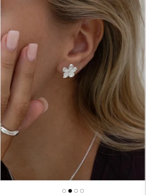 Blommiga örhängen i silver Muli - Snygga örhängen i form av blommor från Muli Collection. Endast använda en gång, så i nyskick! Köpte för ett tillfälle, och kommer inte få så mycket användning av därav att jag säljer dom🥰nypris är 399❤️