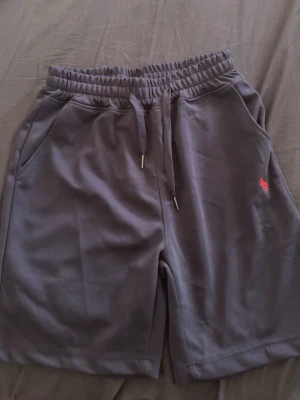 Mörk blå shorts från Polo Ralph Lauren - Mörkgrå shorts från Polo Ralph Lauren! Aldrig använt dem! Anledningen jag säljer de är för att det är små på mig!  Storlek är S-M (storleken på plagen är L men det är egentligen S som passar M) kom gärna med bud så kan vi diskutera! 