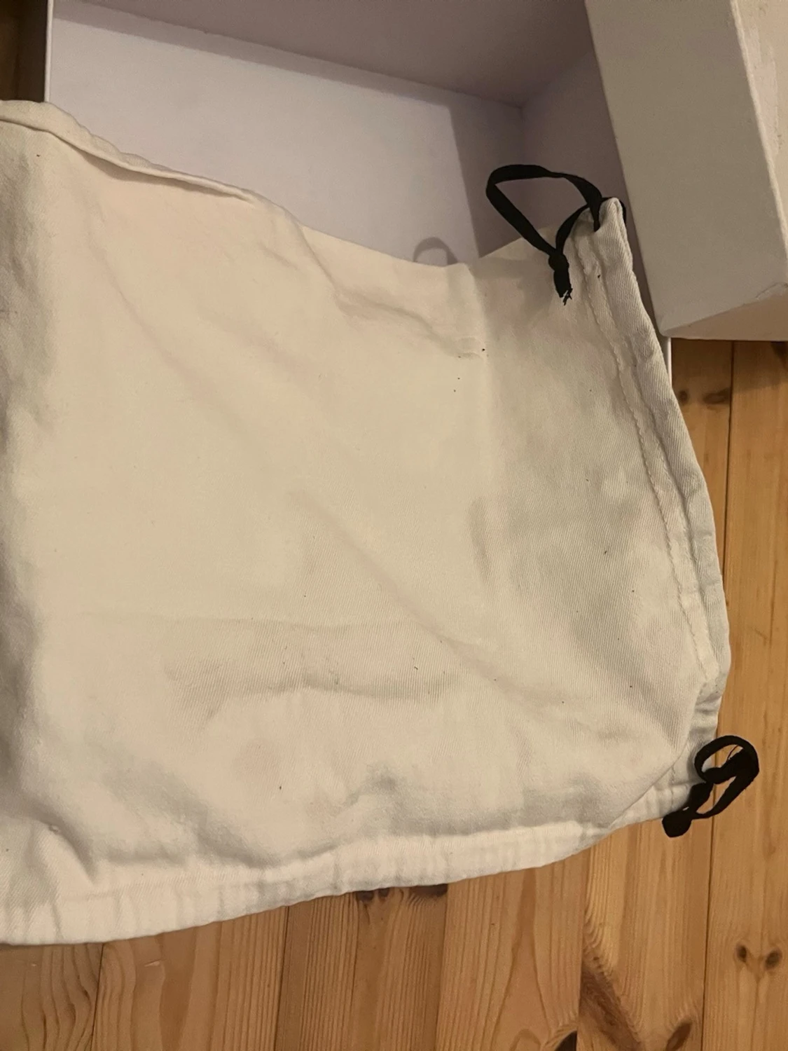 Svarta Isabel marants - 6