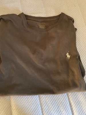 Brun t-shirt från Polo Ralph Lauren - Snygg brun t-shirt från Polo Ralph Lauren med klassisk rund hals och den ikoniska broderade loggan på bröstet. Tillverkad i mjuk bomull för skön känsla och enkel passform. Perfekt till jeans eller shorts för en clean look.