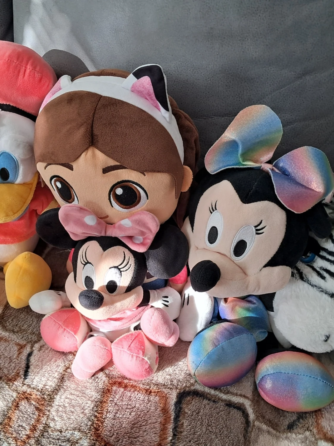 Gosedjursgänget söker nytt hem!