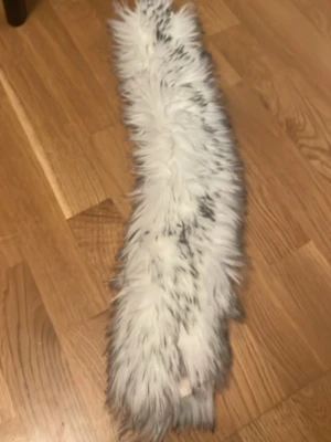 Svans - Vit svans med lite gråt på topparna