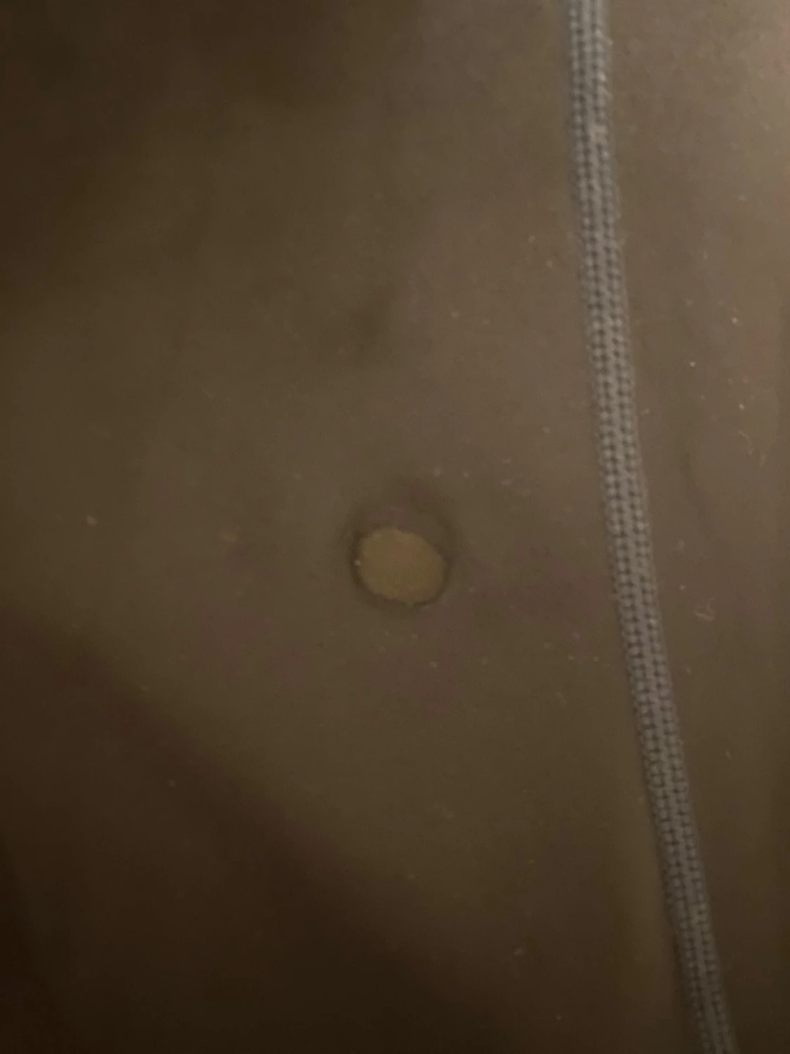 Svarta leggings från Puma med meshdetaljer - 2