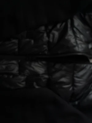 Svart pufferjacka från Gina Tricot - Superfin jacka knappt använd inga defekter. Priset kan diskuteras 