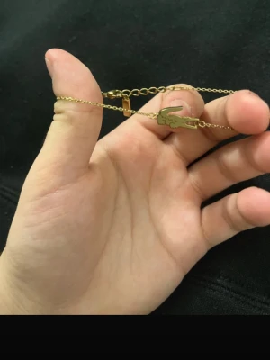 Guldigt smycke med Lacoste krokodil - Guldigt smycke från Lacoste med tunn kedja och en ikonisk krokodilberlock. Kedjan har även en liten bricka med Lacoste-loggan. Perfekt accessoar för dig som gillar stilren och sportig design.