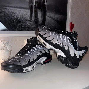 Nike TN Svart/Grå - Tja tja! Säljer nu mina Nike TN i storlek 45, sitter bra på mig som vanligtvis har storlek 44. Väldigt stilrena skor som är både sköna och snygga. Väl omhändertagna har används under 2 månader, topp skick fortfarande, inga tydliga skador. Säljes då dem tyvärr inte kommer till användning längre då jag har 2 par andra som kommer till användning. Vid intresse hör gärna av er! ingen box tillkommer! Köp via Plick går givetvis bra. MVH Fruten Fraten.