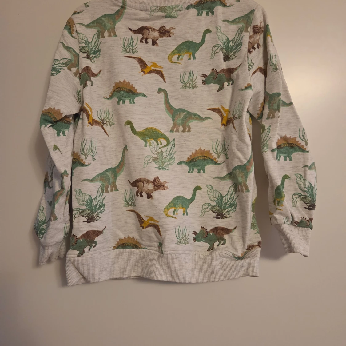Dinosaurie-mönstrad sweatshirt från Minymo - 1