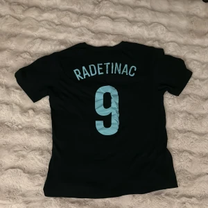 Svart Djurgården fotbollströja Radetinac - Svart fotbollströja från Djurgårdens IF fått personligt av Haris,  med tryck Radetinac och nummer 9 på ryggen. Framsidan har DIF:s klubbmärke i gult, rött och blått. Tröjan är kortärmad och tillverkad i ett lätt, sportigt material som andas. Perfekt för dig som vill visa ditt stöd för Djurgården.