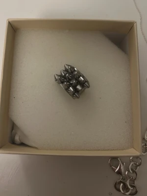 Ring ifrån Edblad  - Silver ring ifrån Edblad med piggar. Storlek 16.00 och använt rätt så många gånger men i jätte bra skick. Säljer då den är för liten nu.