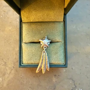 BYTE - Söker någon som vill byta detta örhänge (shooting star) från Maria Nilsdotter eller halsbandet i samma modell mot halsbanden på bild 2 eller 3? (Skriv för bild på halsbandet!!) båda är såklart äkta!!