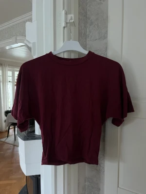 Vinröd t-shirt från 157 XS - Enkel vinröd t-shirt från 157 i storlek XS. Modellen har korta ärmar, tight midje passform, rund halsringning och är gjord i mjuk bomull. Perfekt till jeans eller shorts för en chill look.