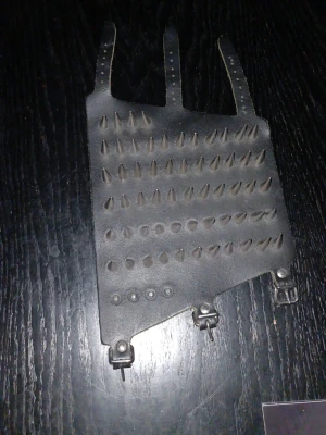 Svart nitad läderaccessoar - Säljer en svart accessoar i läder med flera rader metallnitar och tre justerbara remmar. Perfekt för dig som gillar alternativ stil eller vill addera en edgy detalj till din outfit. Metallspännen längst ner för enkel fastsättning.