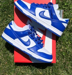 Nike Dunk Low blå och vita sneakers - Nike Dunk Low sneakers i en fräsch blå och vit färgkombination. Skorna har klassisk snörning, rund tå och platt sula. Tillverkade i skinn med tydliga Nike-loggor på sidan och hälen. Perfekt för dig som gillar streetwear och vill sticka ut med snygga sneakers.