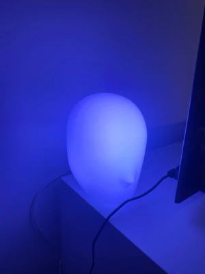 Ledlight - Hej! Om du vill ha en cool ledlight så har du kommit rätt. Ett huvud som är en ledlight med olika färg val. MVH Vilgot Berg