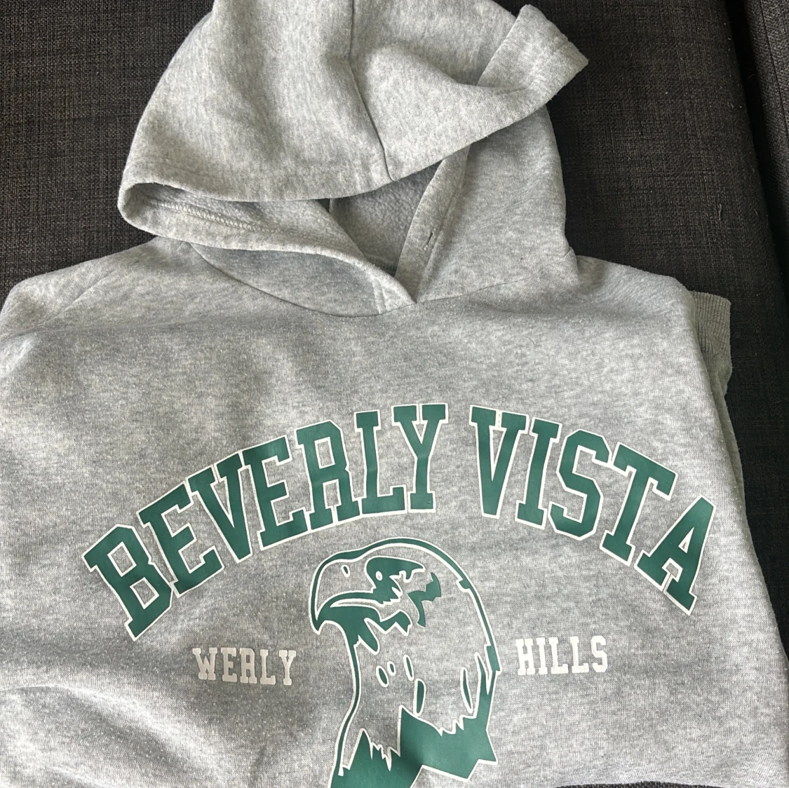 Grå Beverly Vista hoodie från SHEIN