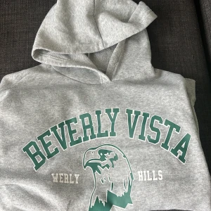 Grå Beverly Vista hoodie från SHEIN - Grå hoodie från SHEIN med stor grön och vit Beverly Vista-print och örn på bröstet. Mjuk fleece på insidan, huva och känguruficka framtill. Perfekt för chill dagar och streetstyle. Oversized känsla och långärmad modell.