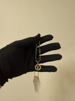 Halsband LV  - Rostfritt stål 