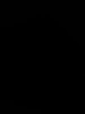 Svarta Nudie Jeans - Snygga svarta jeans från Nudie Jeans med klassisk femficksdesign och raka ben. Jeansen har knappgylf och bälteshällor, tillverkade i slitstarkt denim. Perfekta för dig som gillar en elegant stil. Hör av er vid intresse/ frågor!