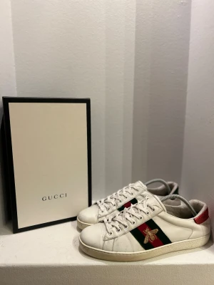 Gucci ace  - Sneakers i fint skick