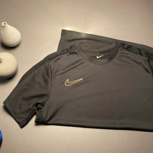 Nike träningströja - Säljer nu denna riktigt snygga Nike tränings T-shirten i st 158-170 passar 170 bara höra av dig vid frågor eller funderingar,
