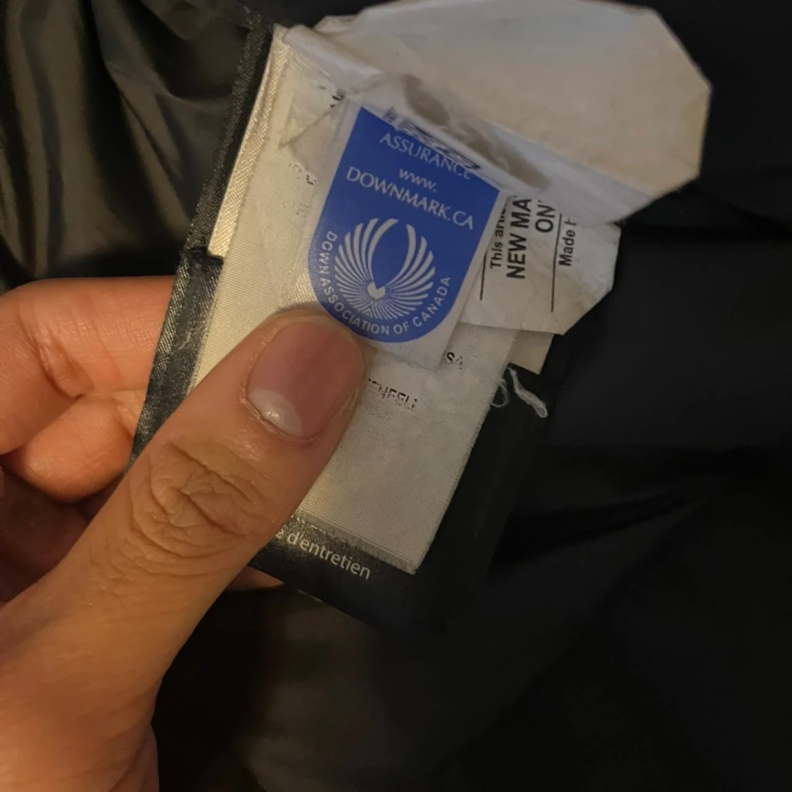 Svart dunparkas från Canada Goose - 2